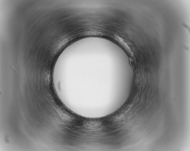 X0000094970063200712201232