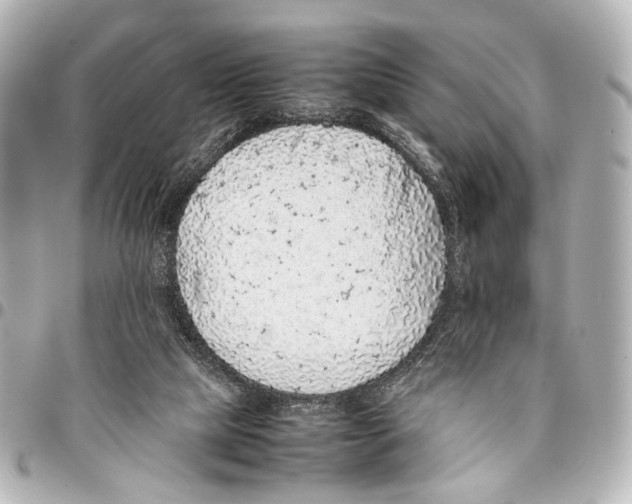 X0000094970065200712201232