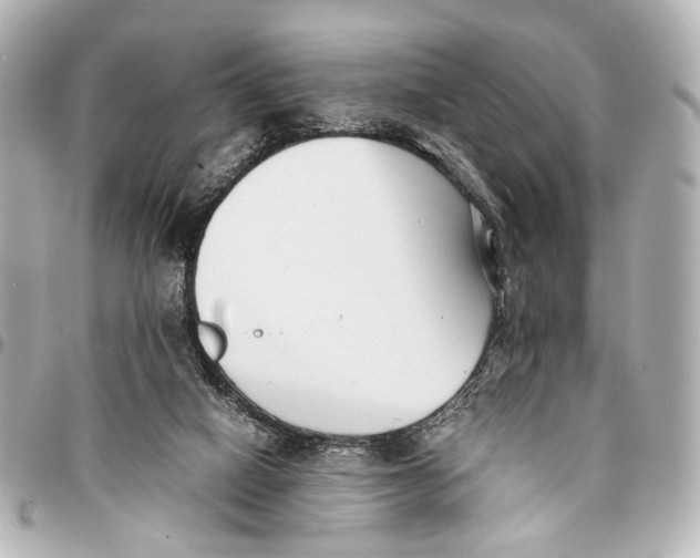 X0000094970066200712201232