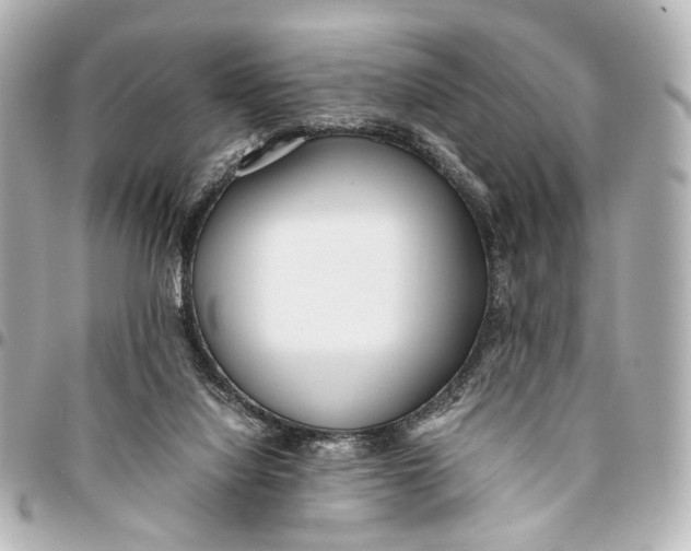 X0000094970068200712201232