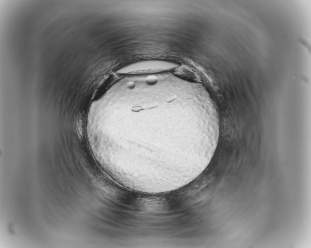 X0000094970069200712201232