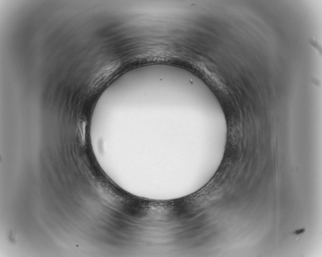 X0000094970070200712201232