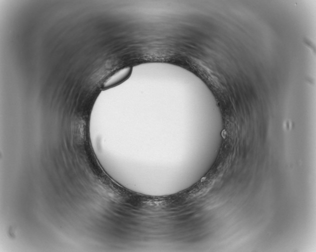 X0000094970071200712201232