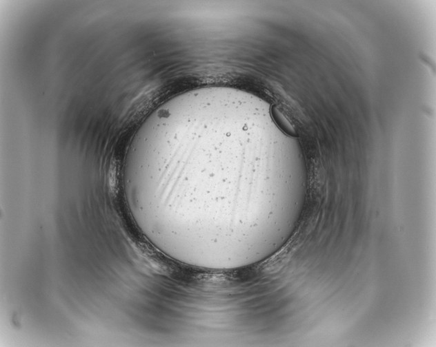 X0000094970074200712201232