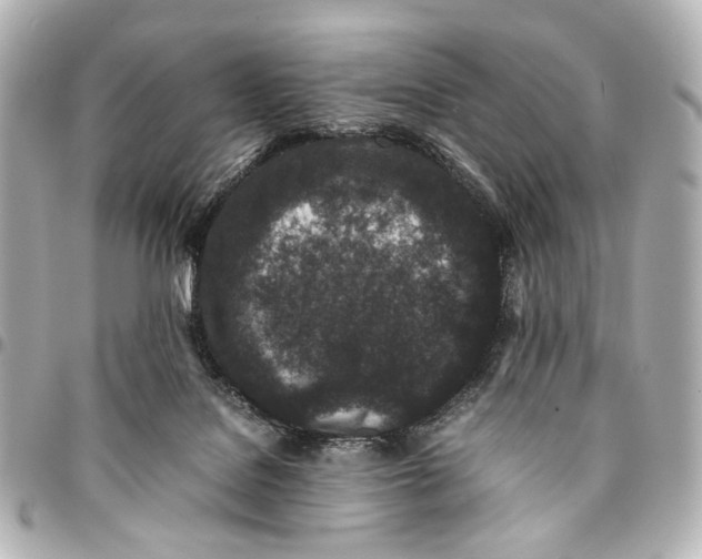 X0000094970076200712201232