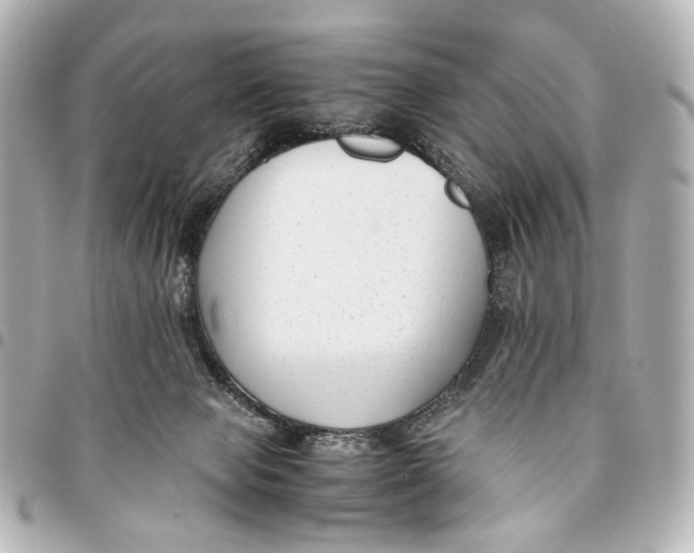 X0000094970077200712201232