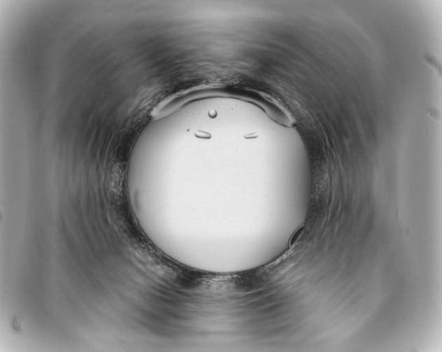 X0000094970078200712201232