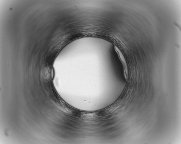 X0000094970081200712201232