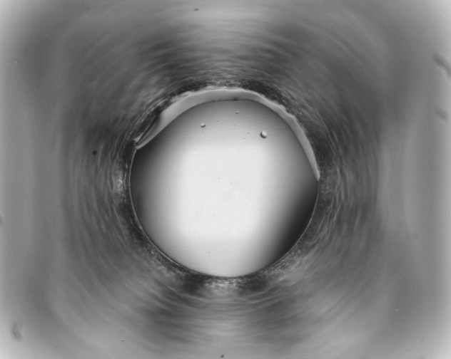 X0000094970084200712201232