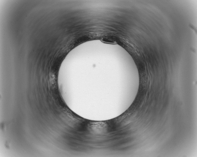 X0000094970087200712201232