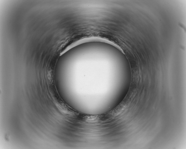 X0000094970088200712201232