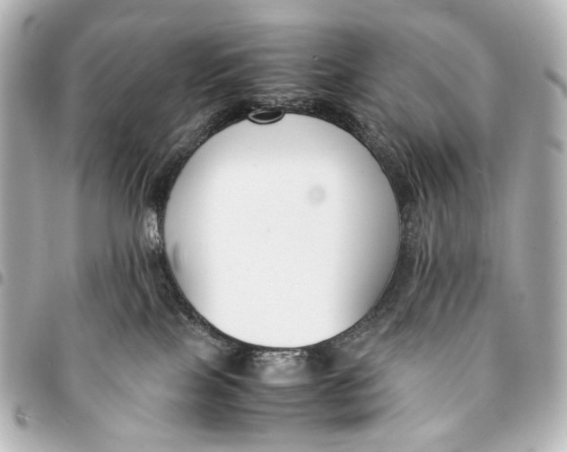 X0000094970089200712201232