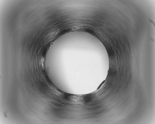 X0000094970094200712201232