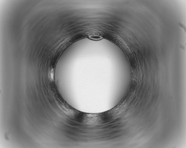 X0000094970095200712201232