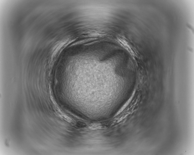 X0000094970097200712201231