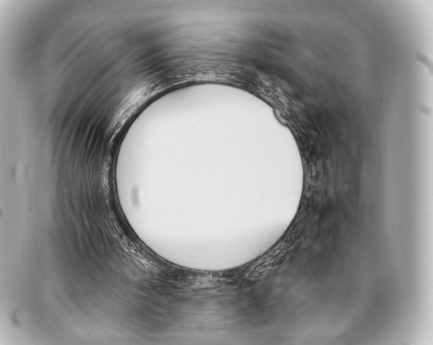 X0000094970098200712201231