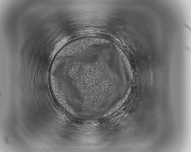 X0000094970099200712201231