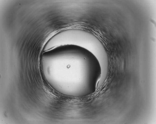 X0000094970100200712201231