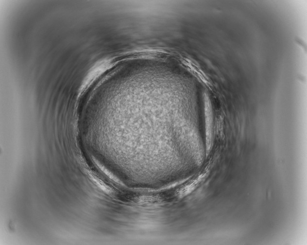 X0000094970101200712201231