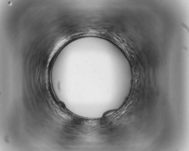 X0000094970102200712201231