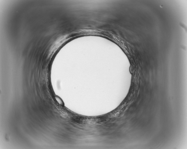 X0000094970103200712201231