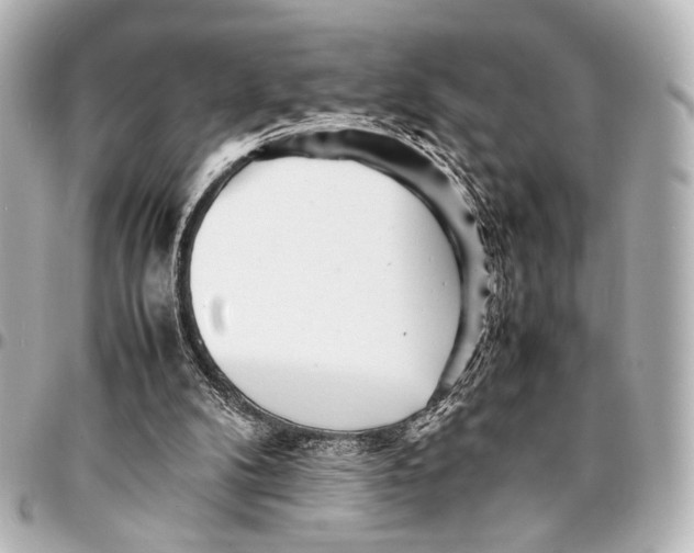 X0000094970104200712201231