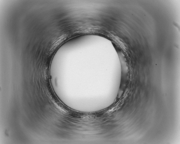 X0000094970105200712201231