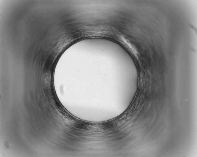 X0000094970107200712201231