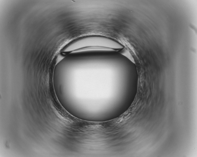 X0000094970108200712201231