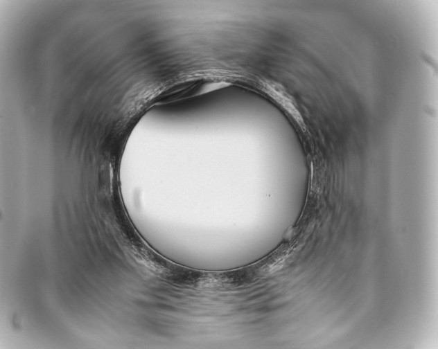 X0000094970109200712201231