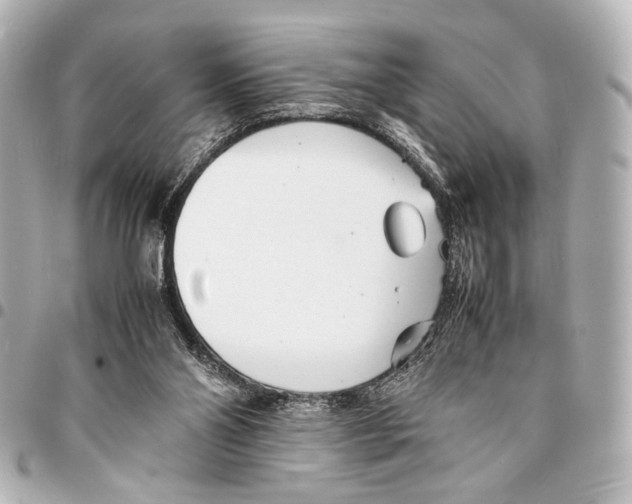 X0000094970110200712201231