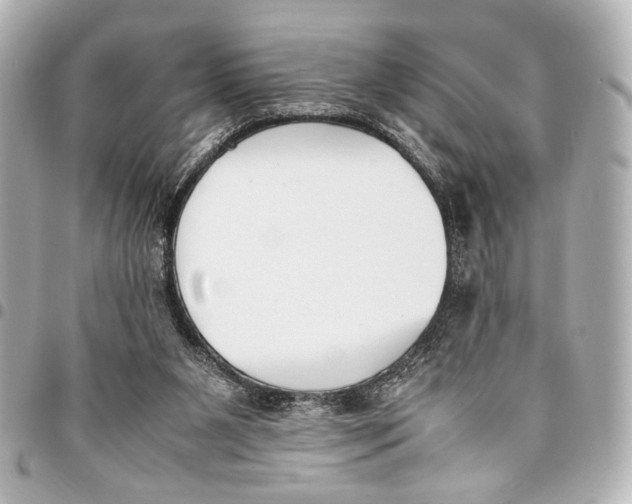 X0000094970111200712201231