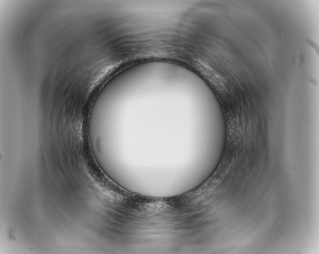 X0000094970112200712201231