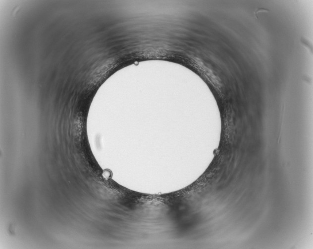 X0000094970113200712201231