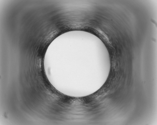 X0000094970115200712201231