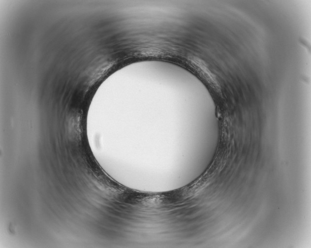 X0000094970116200712201231