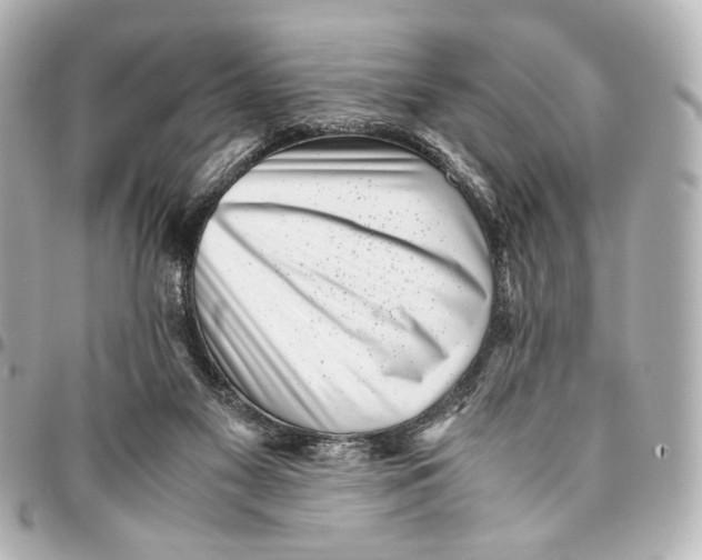 X0000094970117200712201231