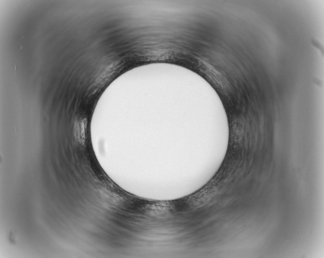 X0000094970118200712201231