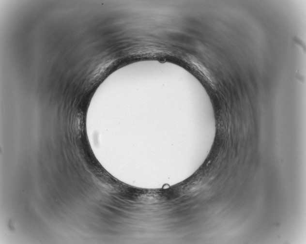 X0000094970119200712201231