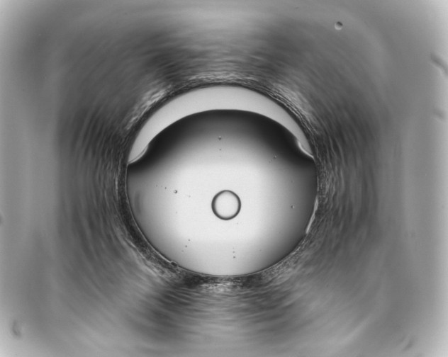 X0000094970120200712201231