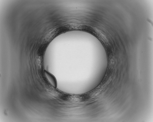 X0000094970121200712201231