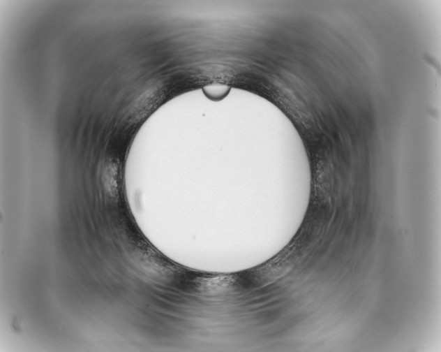 X0000094970122200712201231