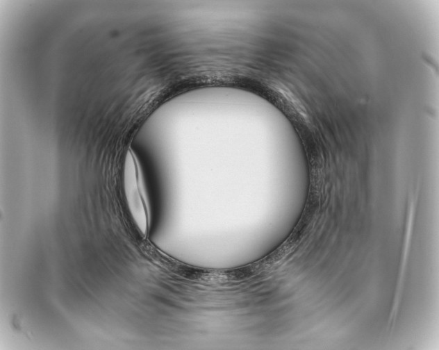 X0000094970123200712201231