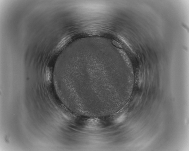 X0000094970124200712201231