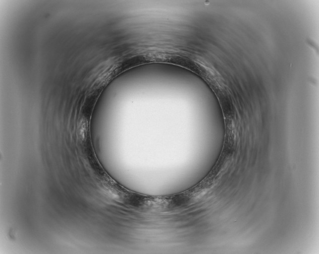 X0000094970125200712201231