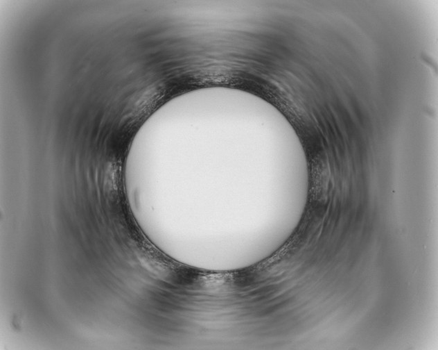 X0000094970126200712201231