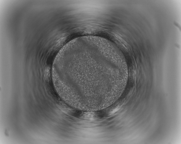 X0000094970127200712201231