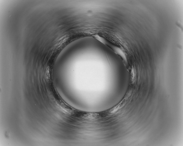 X0000094970128200712201231