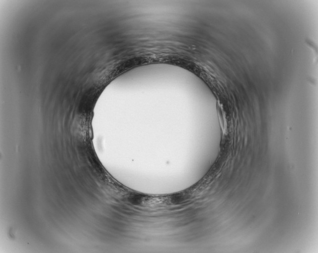 X0000094970129200712201231