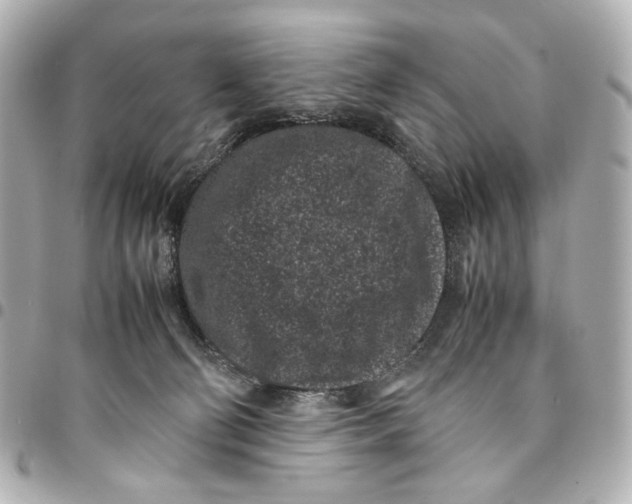 X0000094970130200712201231